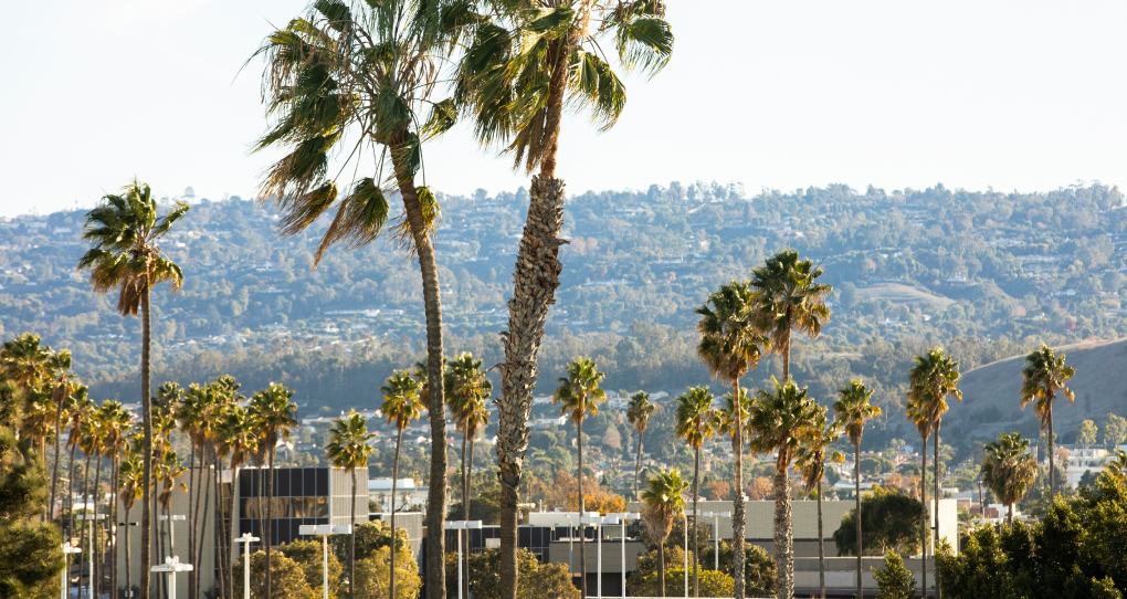 Torrance Average Home Price in 2026 infographic