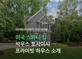 미국 스와니 집, 사우스 포사이시 프라이빗 하우스 소개